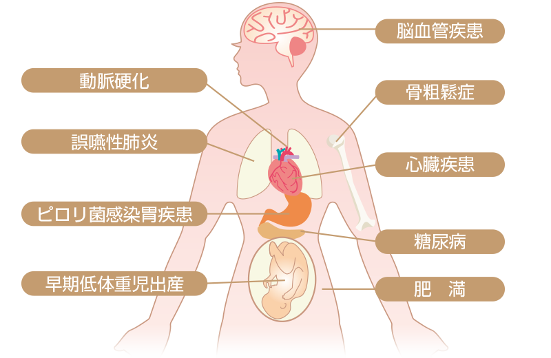 歯周病と全身疾患との関わり